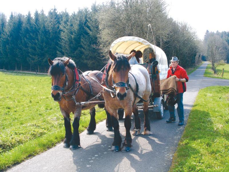 Landgasthof Lang Zum Adler Oberkalbach Esterno foto
